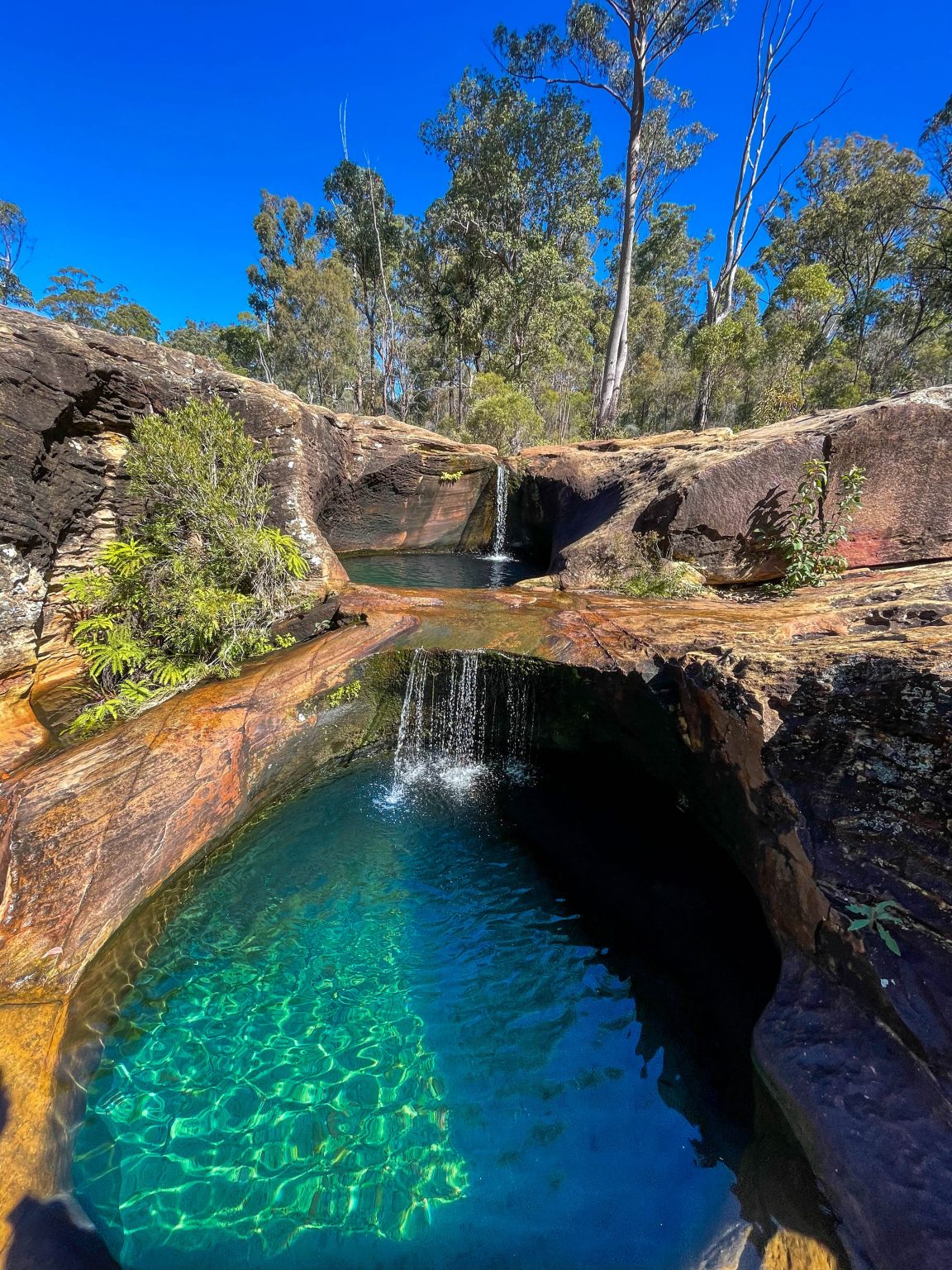 Our Top Ten QLD Swimming Holes Campedia